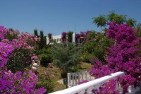 территория отеля - фотогалерея на RCC-TRAVEL.RU территория отеля - фотогалерея на RCC-TRAVEL.RU